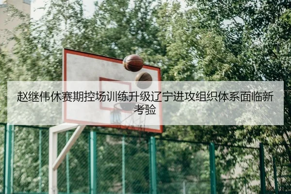 赵继伟休赛期控场训练升级辽宁进攻组织体系面临新考验