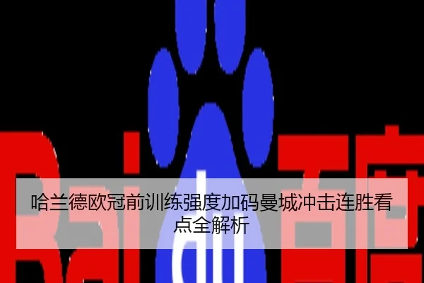 哈兰德欧冠前训练强度加码曼城冲击连胜看点全解析